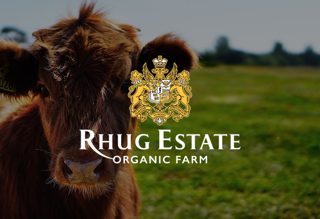 rhug estate