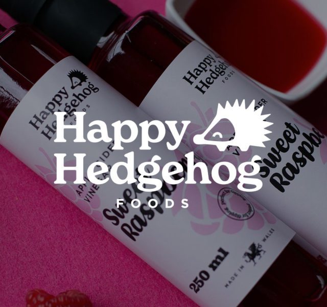 happy hedgehog
